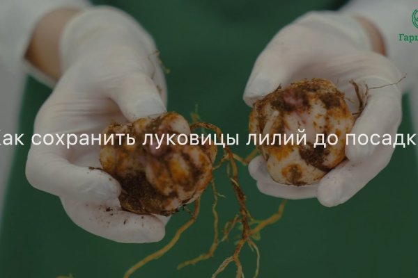 Что вместо гидры
