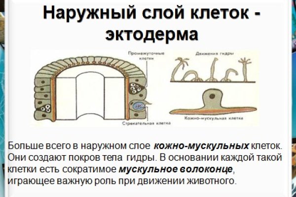Кракен ссылка прокатис