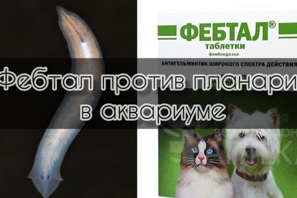 Ссылка на kraken at