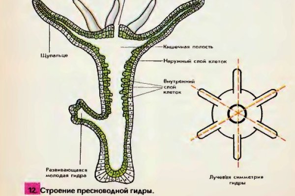 Кракен сайт тор ссылка